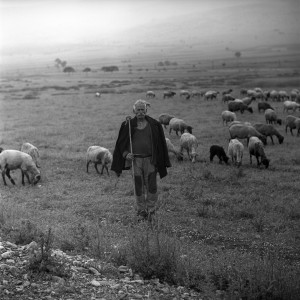 Central Greece 1959- Shepard